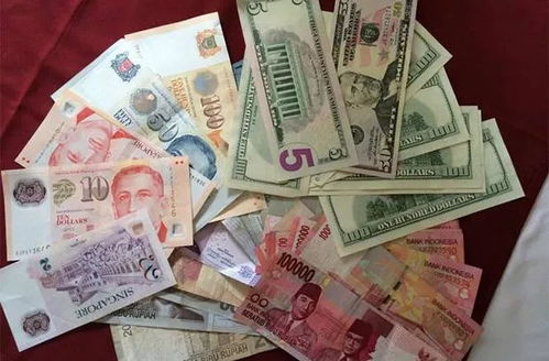 揭秘“文化陷阱” 以艺术交流为名，行高价推销之实