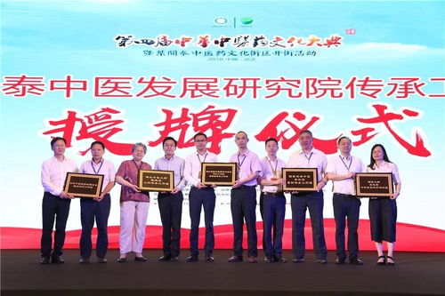 90张图,速览大典暨叶开泰中医药文化街区开街活动精彩瞬间
